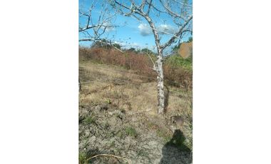 Se Vende Terreno de 20 HAS en Panama Oeste, Las Lajas