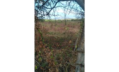 Se Vende Terreno de 20 HAS en Panama Oeste, Las Lajas