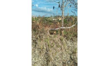 Se Vende Terreno de 20 HAS en Panama Oeste, Las Lajas