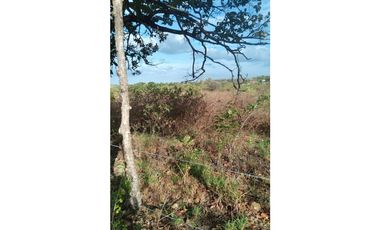 Se Vende Terreno de 20 HAS en Panama Oeste, Las Lajas