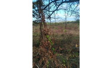 Se Vende Terreno de 20 HAS en Panama Oeste, Las Lajas