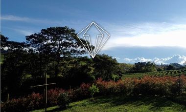 FINCA EN ARRIENDO EL CARMEN DE VIBORAL