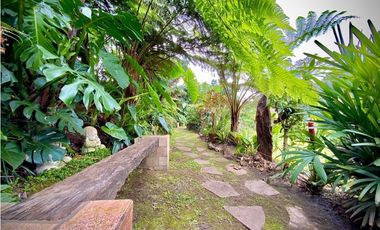 Venta Casa Parcelacion Exotica Vista El Retiro