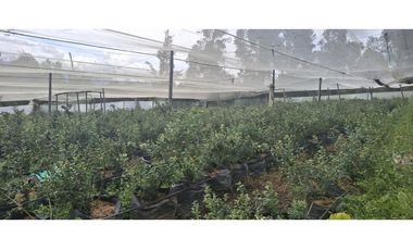 Vende Lote Sabana Alta, Villa de Leyva