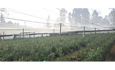 Vende Lote Sabana Alta, Villa de Leyva