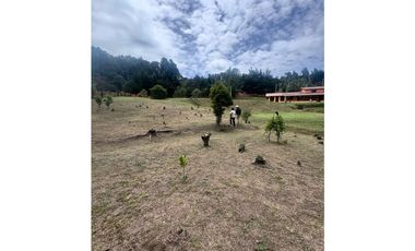 Vendo cabañas en madera en santa Elena con acceso vehicular