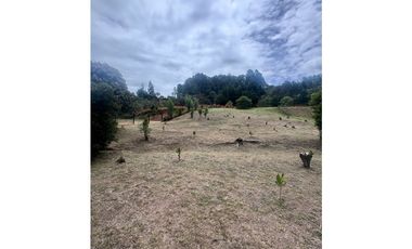 Vendo cabañas en madera en santa Elena con acceso vehicular