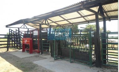 Finca con excelentes aguas y perfecta tradición CUMARIBO - ARAGUATOS-