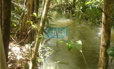 Finca con excelentes aguas y perfecta tradición CUMARIBO - ARAGUATOS-