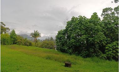 Arriendo finca en El Carmen de Viboral - sector Canadá