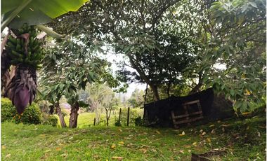 Arriendo finca en El Carmen de Viboral - sector Canadá