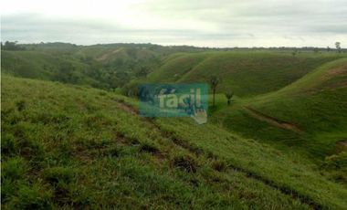 Finca en Puerto Berrio- al lado derecho del rio Magdalena