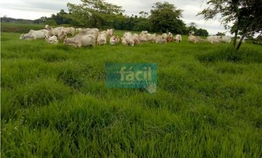 Finca en Puerto Berrio- al lado derecho del rio Magdalena