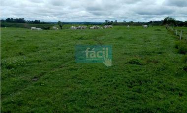 Finca en Puerto Berrio- al lado derecho del rio Magdalena