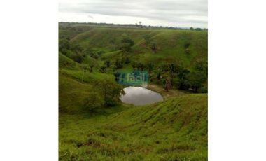 Finca en Puerto Berrio- al lado derecho del rio Magdalena