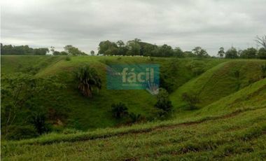Finca en Puerto Berrio- al lado derecho del rio Magdalena