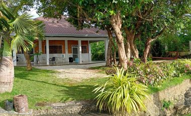 Beachfront Property with Two Houses –White Sand & Sunset in Camotes Island, Cebu