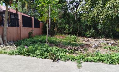 80sqm Lot for Sale in Liloan, Cebu