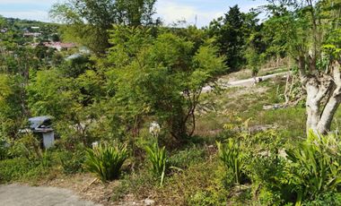80sqm Lot for Sale in Liloan, Cebu