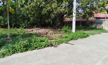 80sqm Lot for Sale in Liloan, Cebu