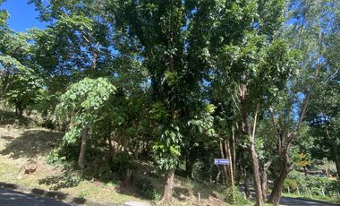 Vacant Lot for Sale in Antipolo - Fairmount Hills Subd - Residential Lot Facing