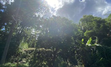 Vacant Lot for Sale in Antipolo - Fairmount Hills Subd - Residential Lot Facing