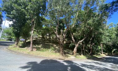 Vacant Lot for Sale in Antipolo - Fairmount Hills Subd - Residential Lot Facing