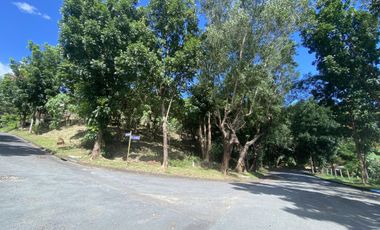 Vacant Lot for Sale in Antipolo - Fairmount Hills Subd - Residential Lot Facing