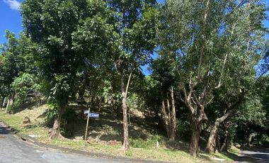 Vacant Lot for Sale in Antipolo - Fairmount Hills Subd - Residential Lot Facing