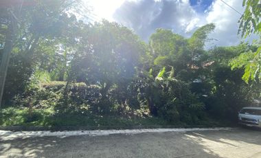 Vacant Lot for Sale in Antipolo - Fairmount Hills Subd - Residential Lot Facing