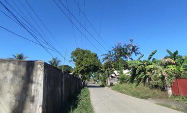 2,449 sqm Residential Lot located in San Fernando, San Jose, Antique