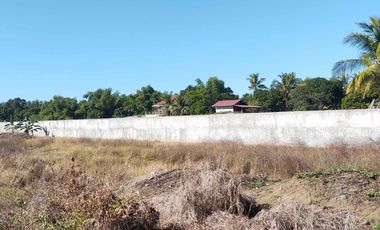 2,449 sqm Residential Lot located in San Fernando, San Jose, Antique