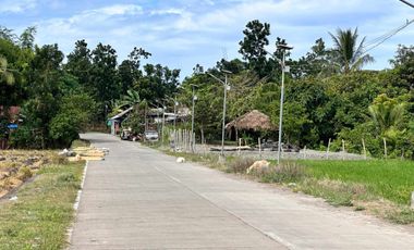 1,096 sqm Residential Lot located in Badiang, San Jose, Antique