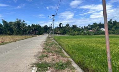 1,096 sqm Residential Lot located in Badiang, San Jose, Antique