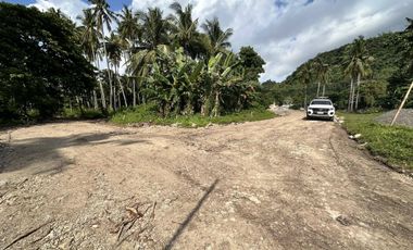 Residential lot near beach located at Lisub B, Anini-y
