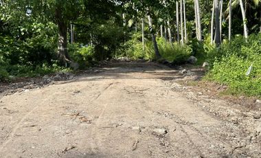 Residential lot near beach located at Lisub B, Anini-y
