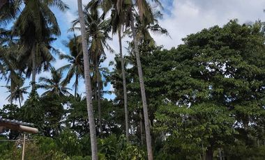 Residential lot near beach located at Lisub B, Anini-y