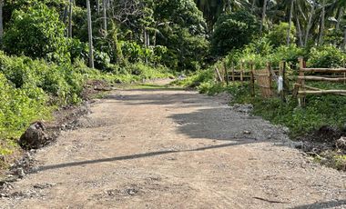 Residential lot near beach located at Lisub B, Anini-y