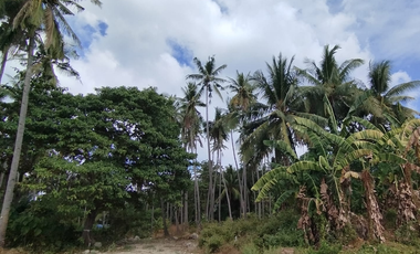 Residential lot near beach located at Lisub B, Anini-y
