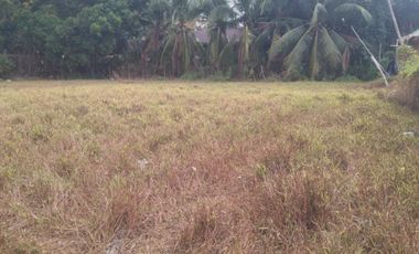 Commercial Lot, San Angel, San Jose, Antique