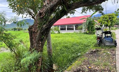 Lot for Sale in Centro Norte, Culasi