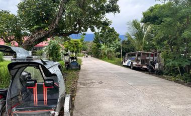 Lot for Sale in Centro Norte, Culasi