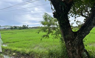 Lot for Sale in Centro Norte, Culasi