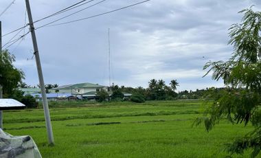 Lot for Sale in Centro Norte, Culasi