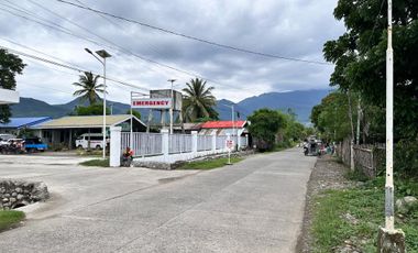 Lot for Sale in Centro Norte, Culasi
