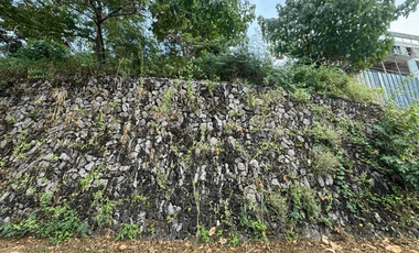 972.0sqm Lot for Sale in Nasugbu, Batangas - RS4902484