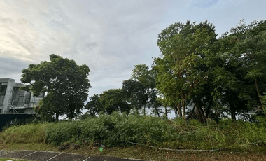 972.0sqm Lot for Sale in Nasugbu, Batangas - RS4902484