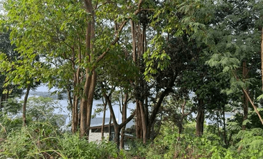 972.0sqm Lot for Sale in Nasugbu, Batangas - RS4902484