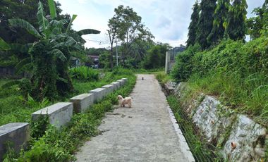 Residential Lot located at Ilaya, Bugasong