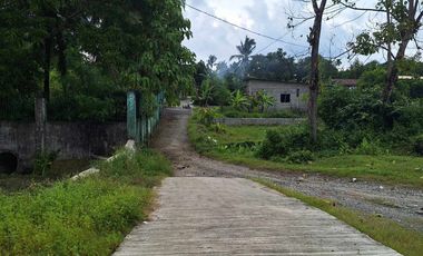 Residential Lot located at Ilaya, Bugasong
